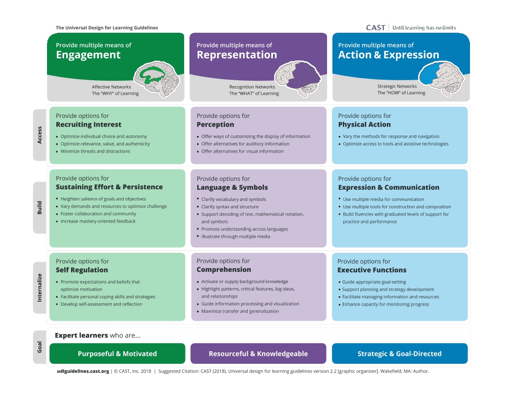 UDL Graphic Organiser