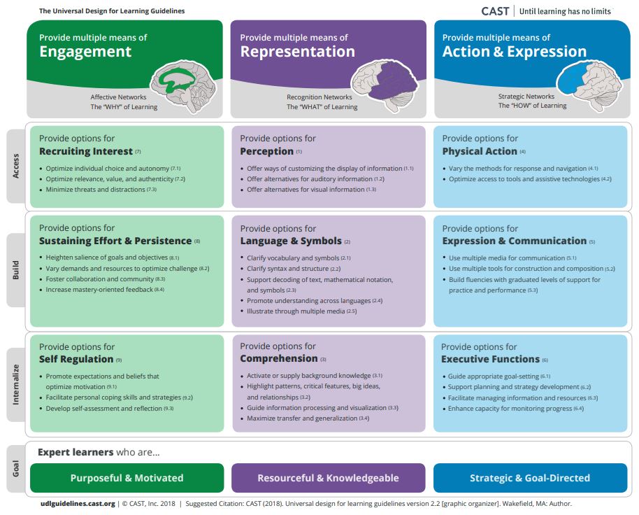 Graphic Organiser UDL