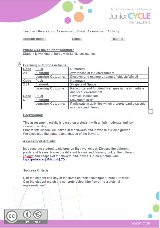 Assessment Activity Task Sample