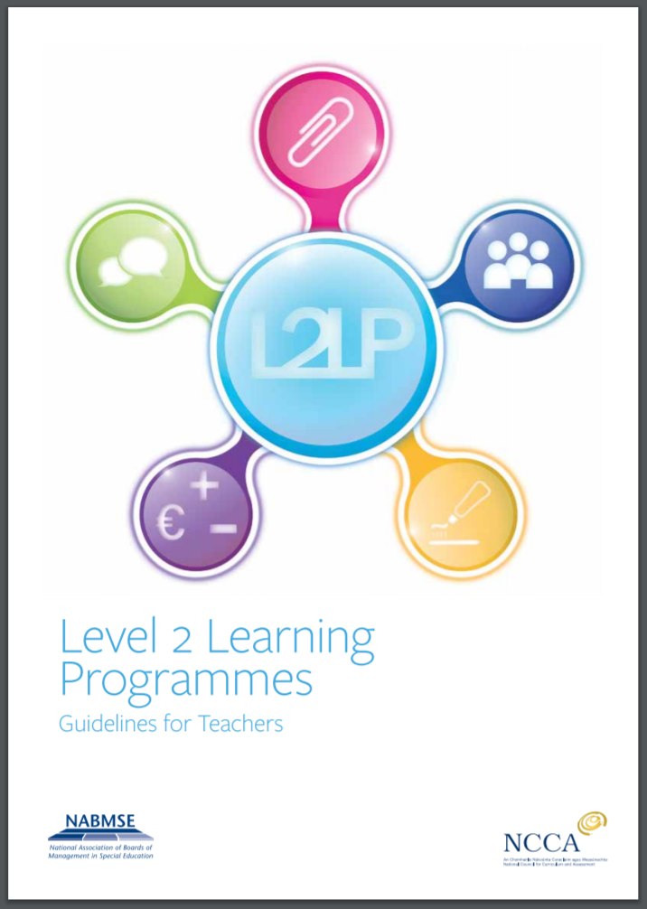 Level 2 Learning Programmes Guidelines