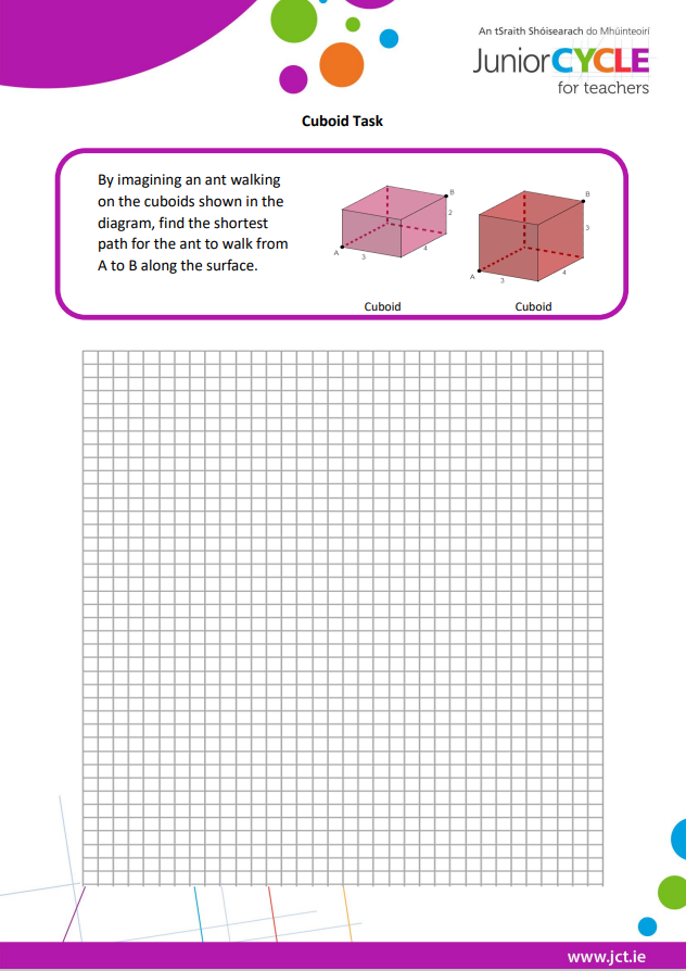 Cuboid Task