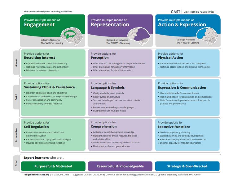 UDL Graphic Organiser