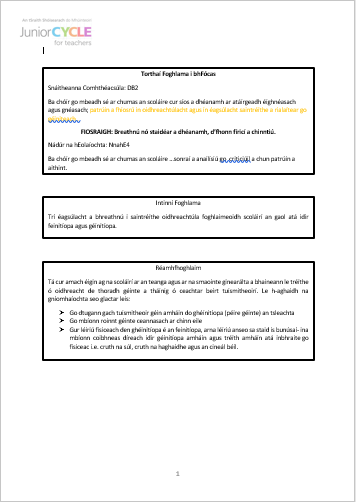 Fiosrú a Dhéanamh - Sliocht Óg a Thógáil