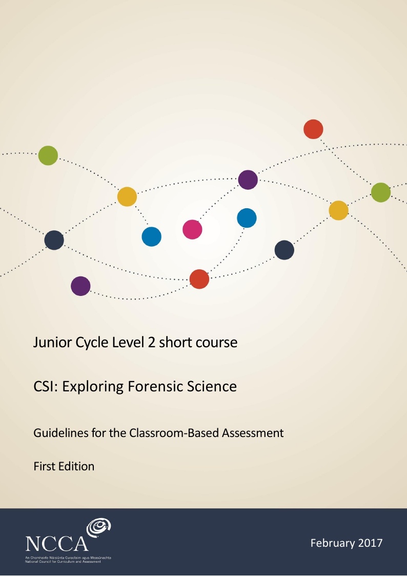 CSI:Assessment Guidelines