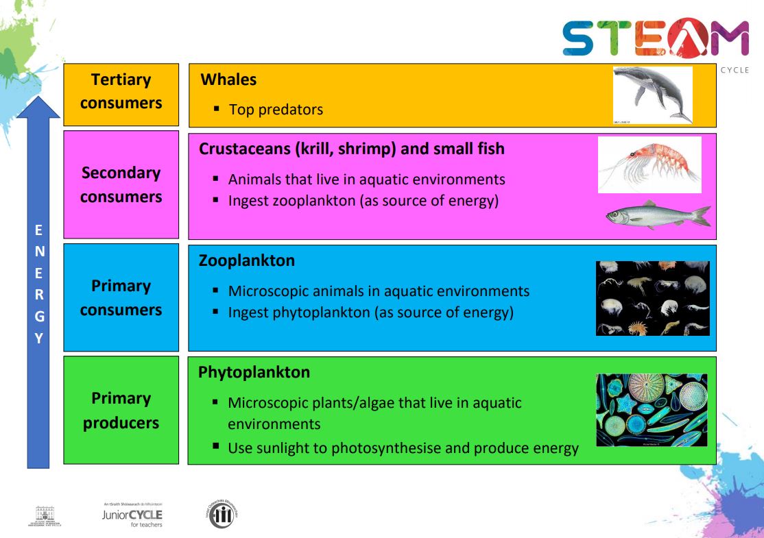 Oceans Jenga Trophic Levels Poster